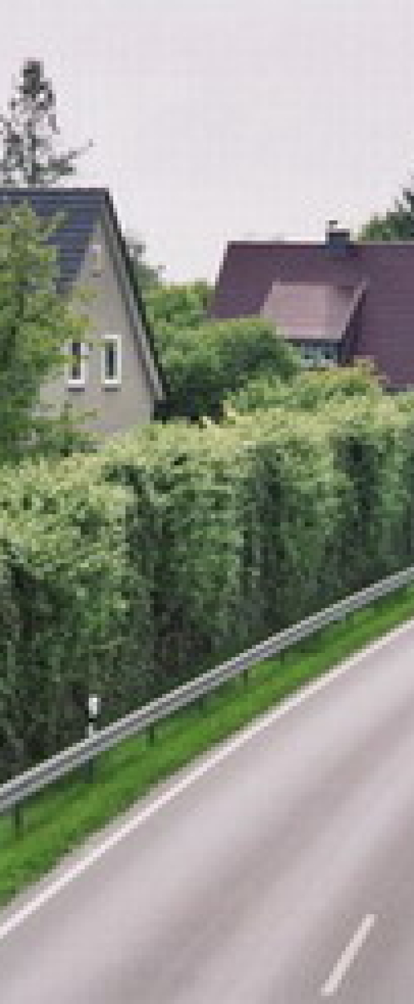 groen 3.jpg