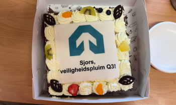 Veiligheidspluim 