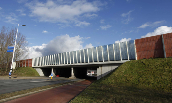 IMG1.jpg